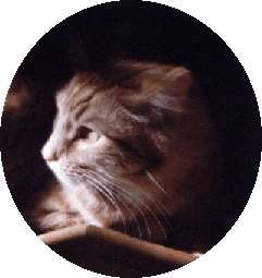 Sancho - 1993-2000
