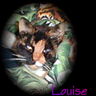 Louise