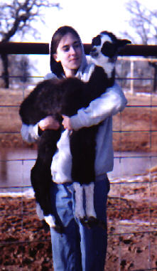 Staci and Heirloom's Dark Comet