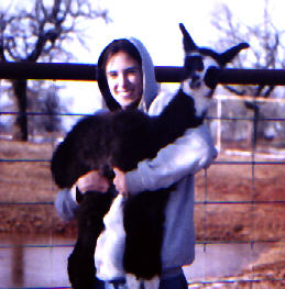 Staci and Heirloom's Dark Comet