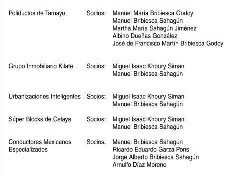 Las empresas de Manuel Bribiesca Sahag�n