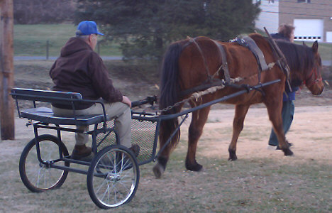 Dave's first ride