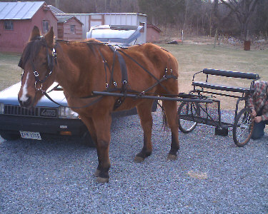 All hooked up with new harness