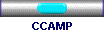 CCAMP