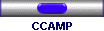 CCAMP