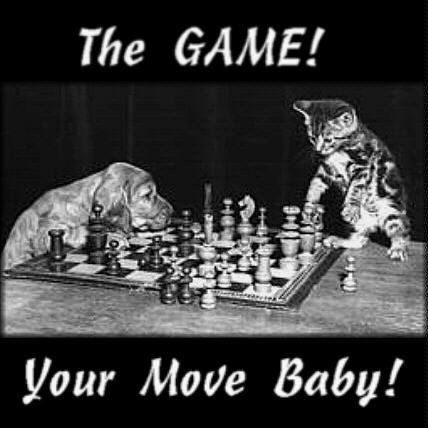 So you think you can put me on the street? Try.  Your move... 