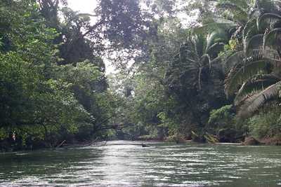 Rio Grande, near Big Falls