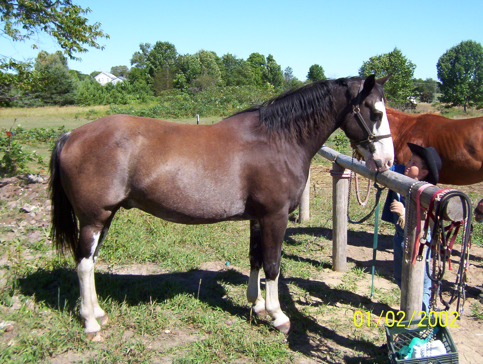 This is my Tobe and our liitle neighborhood cowboy.