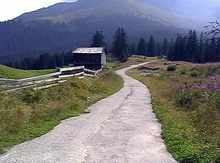 Stagias oberhalb Curaglia