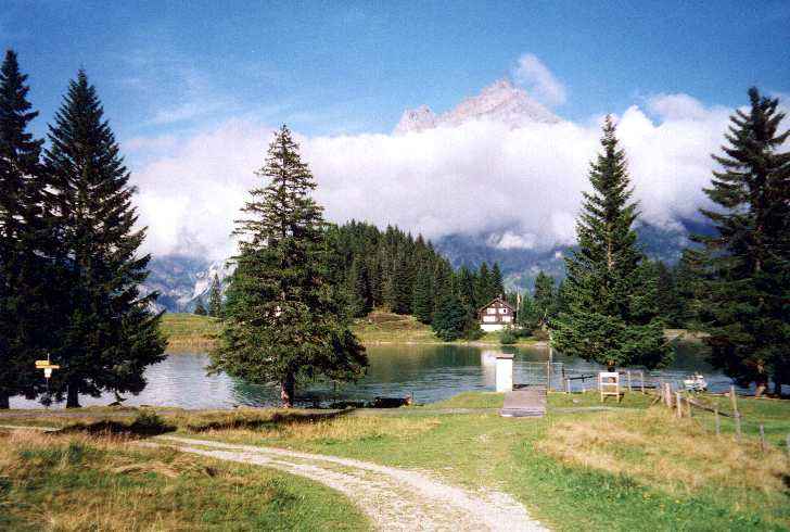 Arnisee
