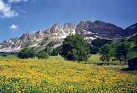 Clariden und Sch�rhorn