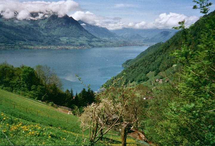 Oberhalb von Gersau / Vierwaldst&auml;ttersee mit Beckenried und Stans im Hintergrund