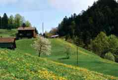 G&auml;tterli