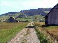 Pilgerweg durch das Hochmoor von Rothenthurm