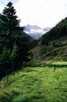 Aufstieg zur Alp Hinterfeld