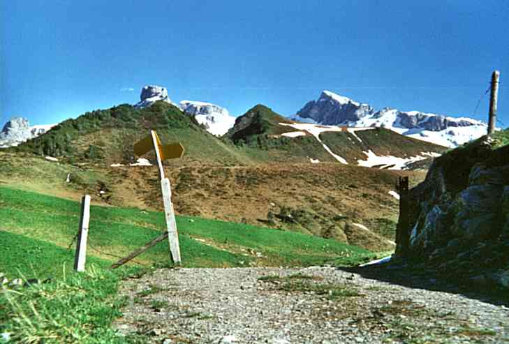 Im Hintergund die schneebedeckten Gipfel des Bl&uuml;emberg und des Kaiserstock