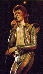 Ziggy!