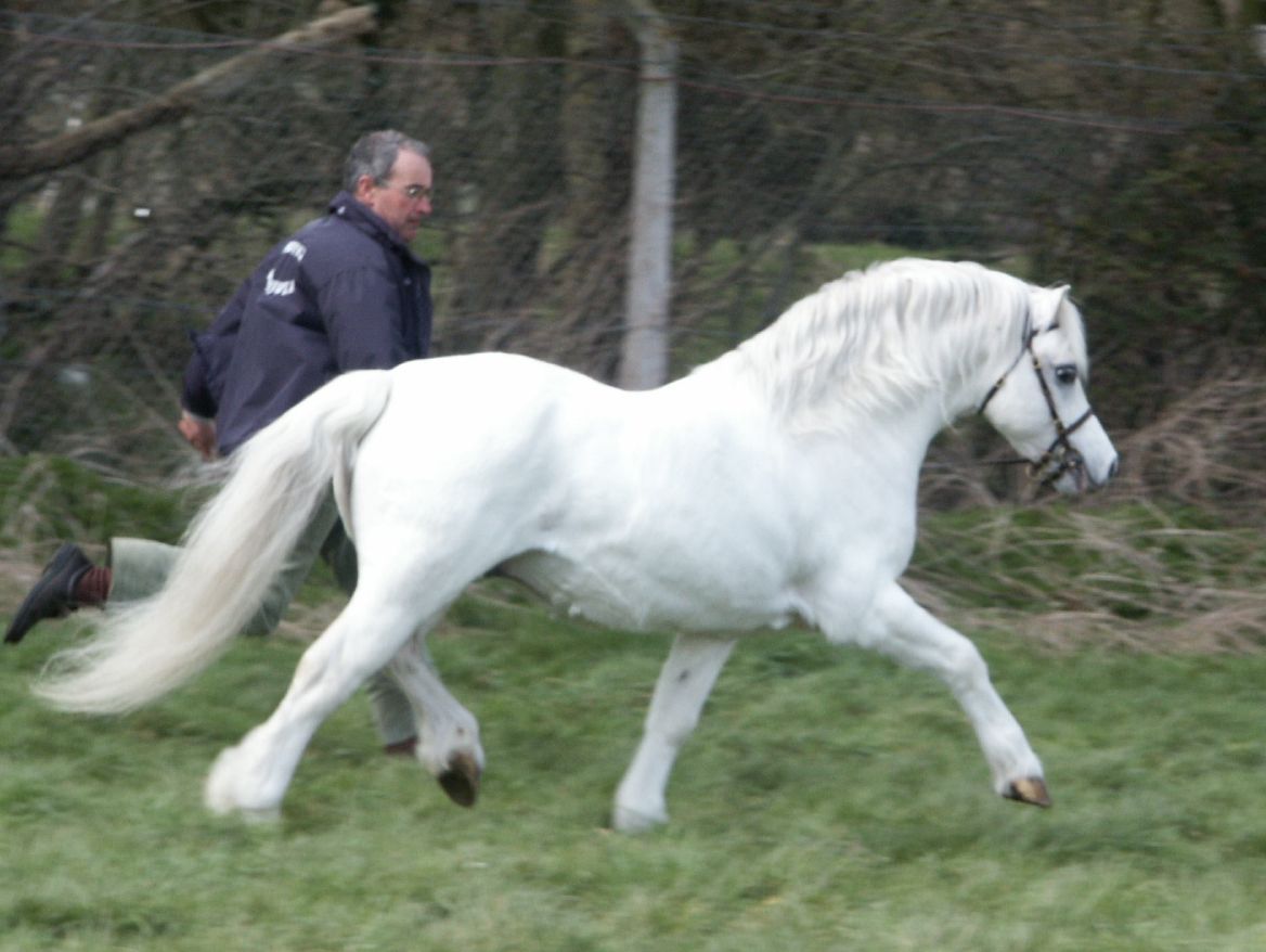 wM-o. Suddenly Darwin