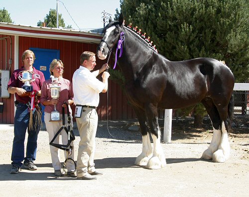 klikkaamalla suuremmaksi