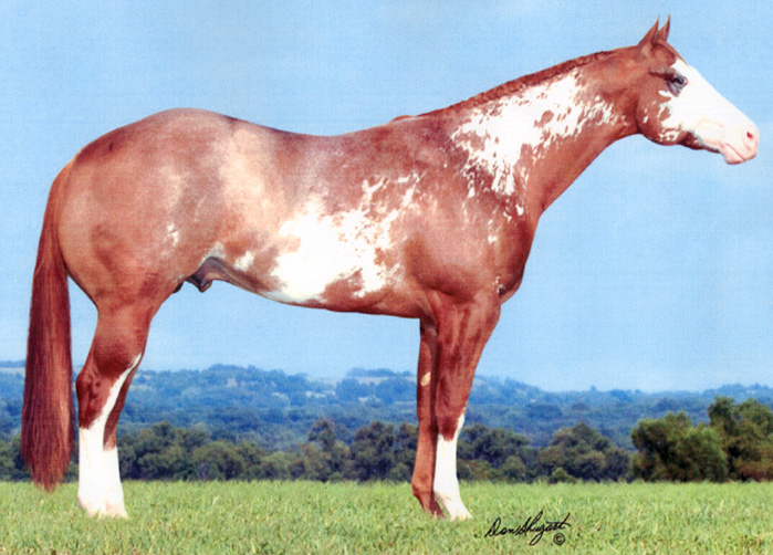 paint-o. Ch War Smoke