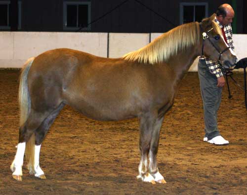 kuviin saatu lupa v. -04, lupaa "jatkettu" v. -07