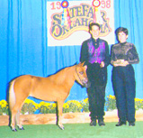 Becky, Cammie & Copper - 1998 State Fair of Oklahoma
