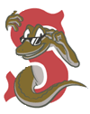 Sarasota Red Sox