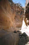 Jordan5.jpg (22677 bytes)