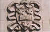 aliver12.jpg (25957 bytes)