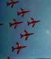 The red arrows