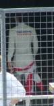 Jarno Trulli