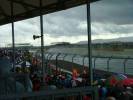 Watching from Copse