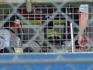 Ralf Schumacher in the garage