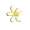 Decorative Daisy
