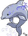 Magic Dolphin