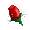 Red Rose Corsage