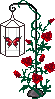 Rose Butterfly