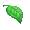 Sacred Leaf