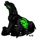 My Neon Appaloosa!