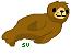 Baby Seal