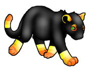 Candycorn Kitten 2003