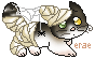 Mikio