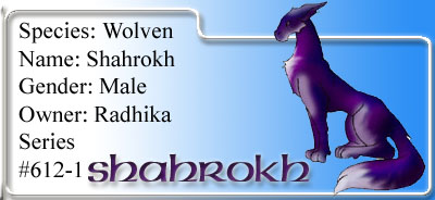 Shah Rokh