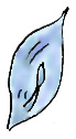 3rd feeding - rock crystal