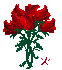 9 roses