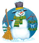 Frosty the Snow Butterfly