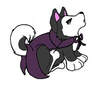Vampire Husky Pup