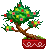 Xmas Bonzai