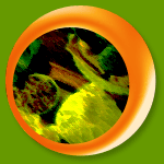 ��ع�áѺ��úӺѴ