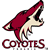 Coyotes